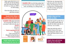 Quyền Của Thanh Thiếu Niên Việt Nam Về SKSS & SKTD