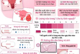Kinh Nguyệt Và Cách Dùng Băng Vệ Sinh