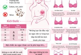 Hướng Dẫn Chọn Áo Ngực Phù Hợp