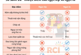 Ngực To Hay Nhỏ Là Đẹp?