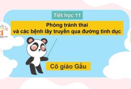 Bài 11: Phòng tránh thai và các bệnh lây truyền qua đường tình dục