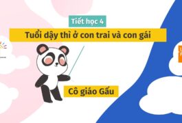 Bài 4: Tuổi dậy thì ở con trai và con gái