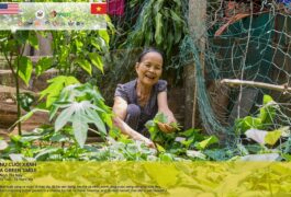 📢 HOẠT ĐỘNG PHOTOVOICE – KỂ CHUYỆN BẰNG HÌNH ẢNH (QUẢNG TRỊ)