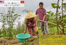 📢 HOẠT ĐỘNG PHOTOVOICE – SỬ DỤNG HÌNH ẢNH ĐỂ KỂ CHUYỆN (HUẾ)